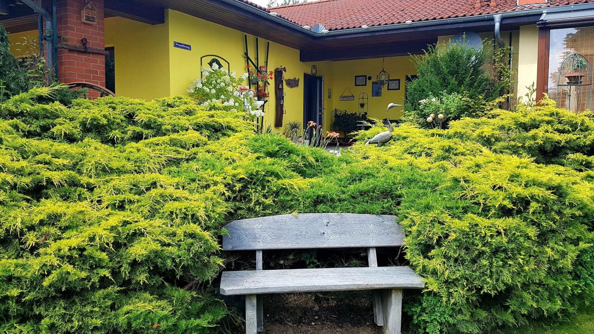 Ferienwohnung Guenther , 3 - Sterne Waren  Exterior photo